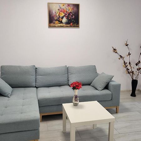 Apartament Alex, Dem Radulescu Рымнику-Вылча Экстерьер фото